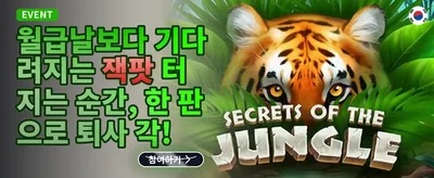 데일리 릴로드 충전 보너스 promotion banner